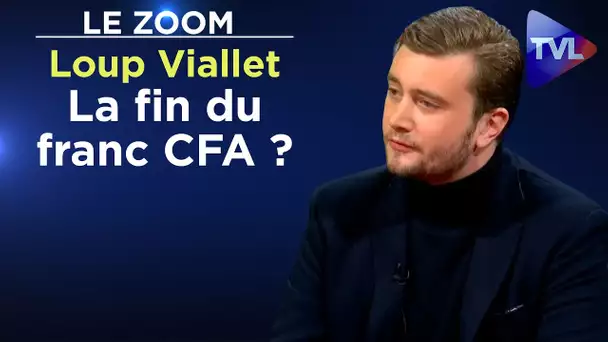 La fin du franc CFA ? - Le Zoom - Loup Viallet - TVL