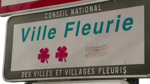 Poitiers renonce au label "ville fleurie"