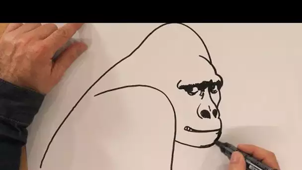 François Roca : Comment dessiner "King-Kong" ?