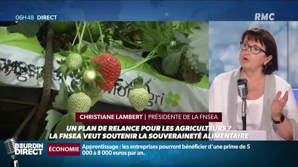 "Si on achète tout low cost, on tue l'emploi français" la FNSEA s'alarme de la course aux prix bas