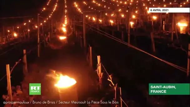 France : des centaines de bougies illuminent les vignobles pour les protéger du gel