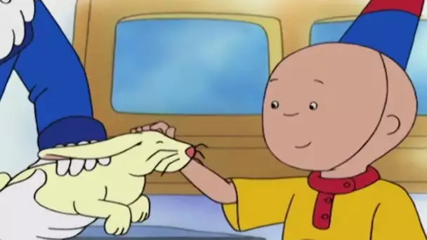 Caillou en français - Caillou Prépare le Pique-nique | dessin animé complet en francais