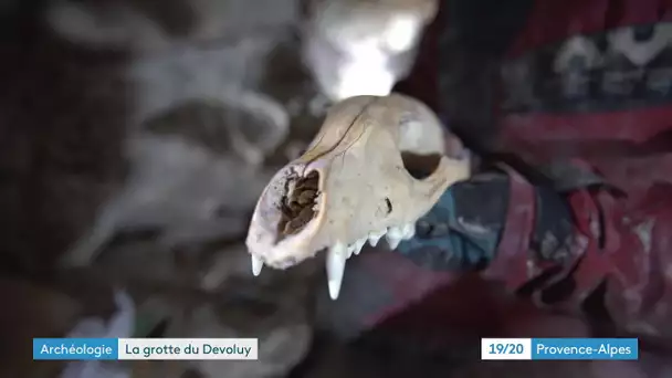 Hautes-Alpes : découverte majeure d'ossements préhistoriques dans le Dévoluy