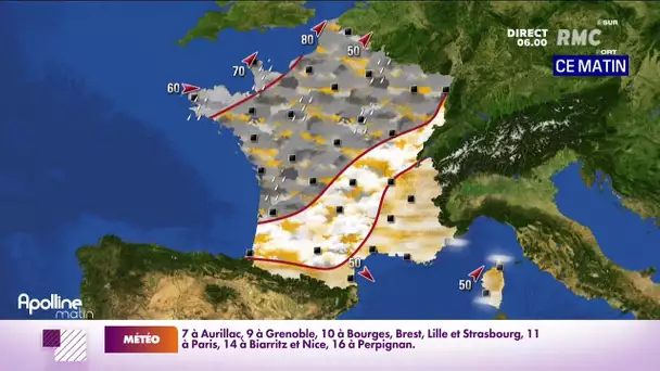 🌧 Voici votre météo de ce vendredi 4 février