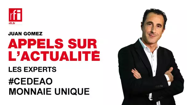 CEDEAO : mise en place d'une monnaie unique à l'horizon 2020 ?