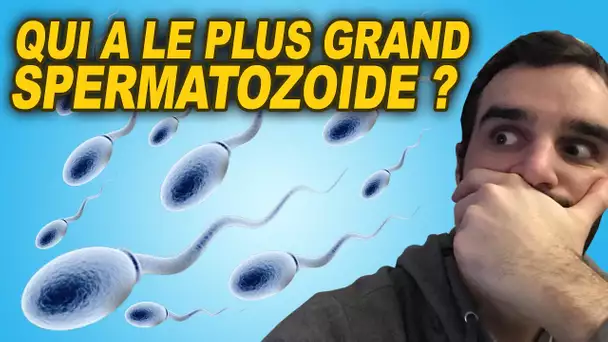 QUI A LE PLUS GRAND SPERMATOZOÏDE ?