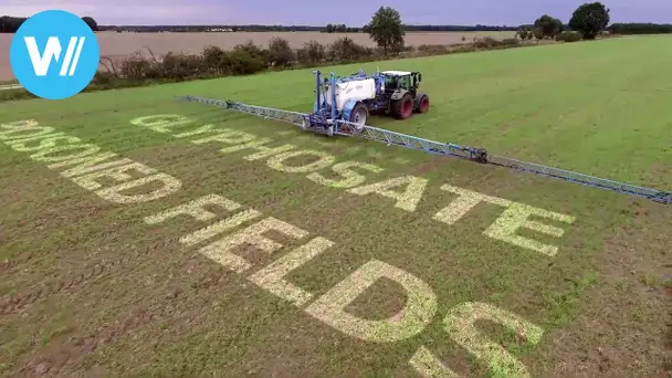 Poisoned Fields - Glyphosate, the underrated risk? (HD 1080p)