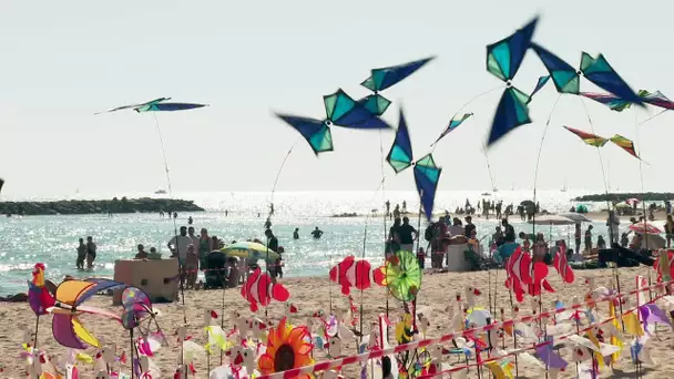 Palavas : festival de cerfs volants sur la plage et dans l'eau