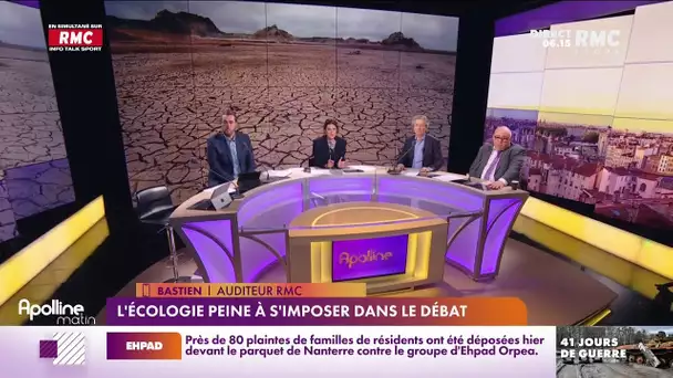 L'écologie peine à s'imposer dans le débat politique à l'échelle nationale