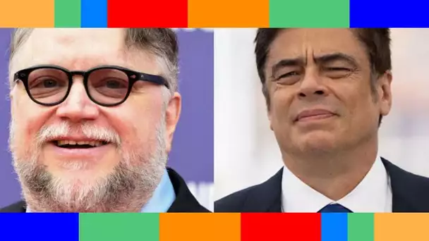 Guillermo Del Toro : a-t-il un lien de parenté avec Benicio Del Toro ?