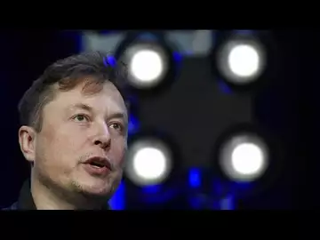 Elon Musk est désormais le premier actionnaire de Twitter