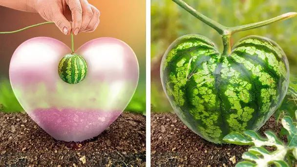 Découvrez de nouvelles astuces de jardinage pour le printemps🥕🌱🌷Idées pour les fleurs et les légumes