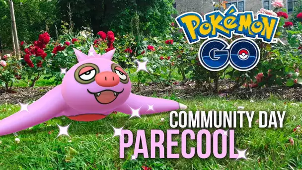 PARECOOL SHINY durant le COMMUNITY DAY PARECOOL sur POKÉMON GO