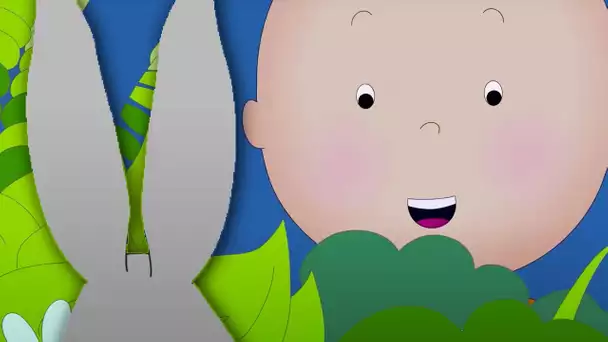 Caillou et le Lapin de Pâques | Caillou en Français