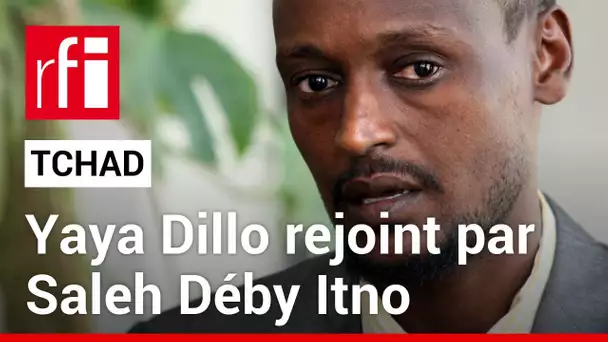 Tchad : pourquoi Saleh Déby Itno rejoint le parti d'opposition de Yaya Dillo ? • RFI