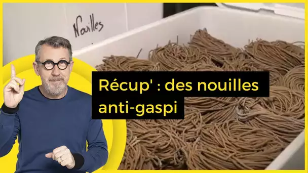 Récup' : des nouilles anti-gaspi - C Jamy