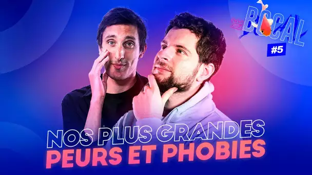 Nos plus grandes PEURS et PHOBIES | LE BOCAL #5