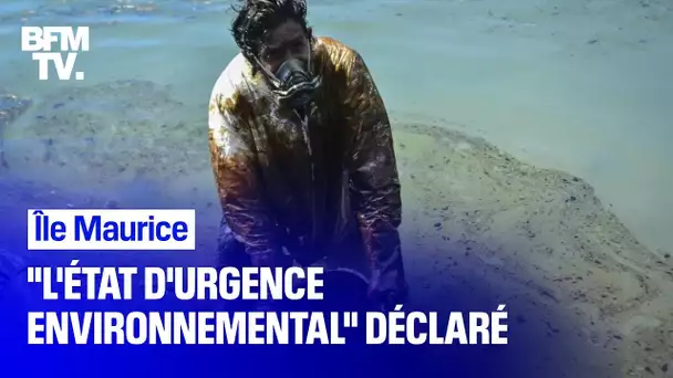 Île Maurice: 'l’état d’urgence environnemental' déclaré par le Premier ministre