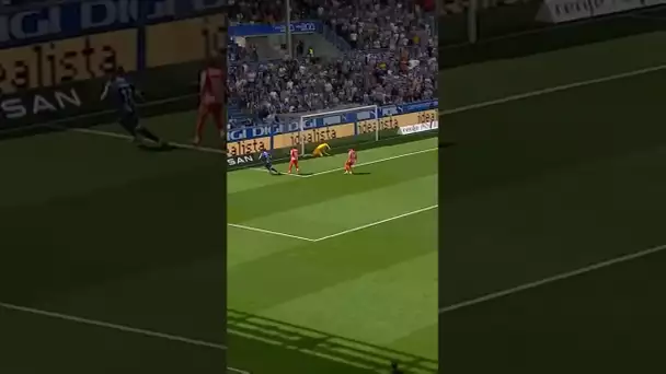 BRILLIANT OBLAK!🌟🧤