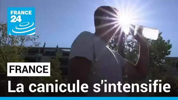 La canicule s'intensifie en France : vigilance rouge étendue à 19 départements, 37 autres en orange