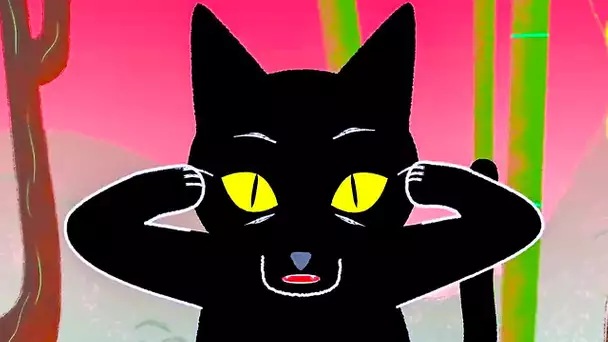 CHATS PAR CI CHATS PAR LÀ Bande Annonce en Français (Animation, 2020)