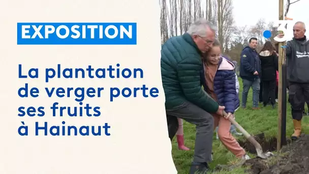 Une plantation de vergers à Hainaut