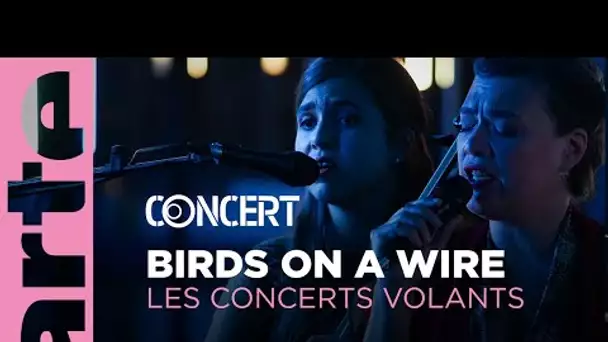 Birds on a Wire en Concerts Volants - ARTE