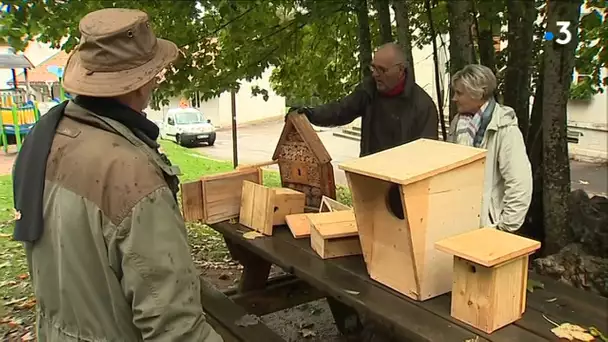 19 EDUCATION BIODIVERSITE ASSOCIATION LES GAZOUILLIS