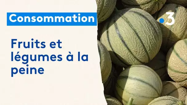 La consommation des fruits et légumes à la peine cet été