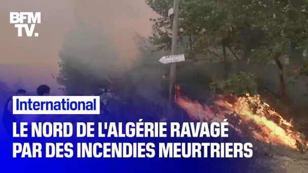 Le nord de l'Algérie fait face à des incendies meurtriers