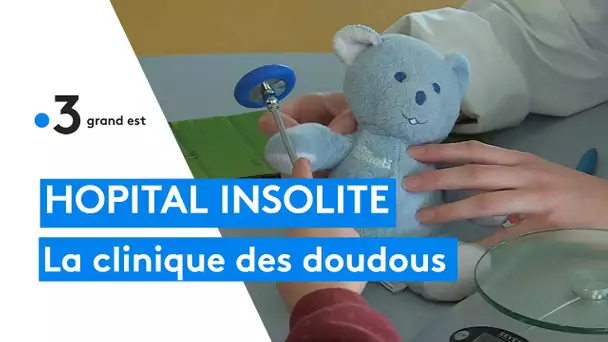 Hôpital insolite : une clinique pour les doudous pour dédramatiser le monde hospitalier