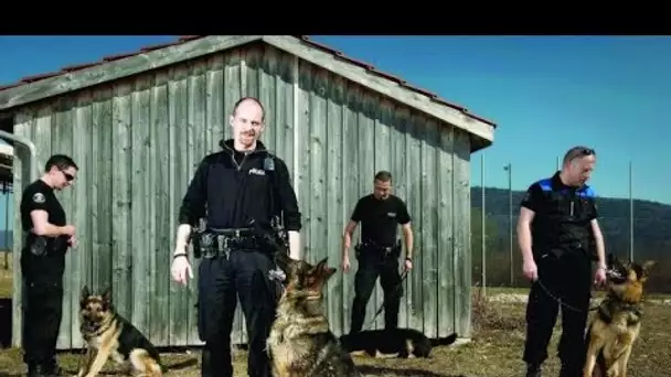 Ces chiens au service de l&#039;homme - Reportage