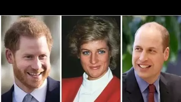 Le "style attachant et émotionnel" de la princesse Diana a changé le prince William et le prince Har