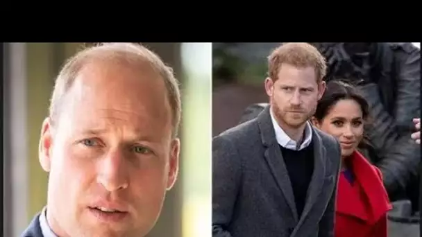 L'ami du prince William insulte brutalement le prince Harry en deux mots
