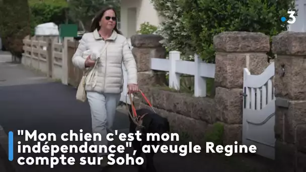 "Mon chien c'est mon indépendance", aveugle Regine compte sur Soho