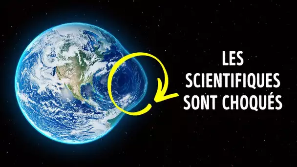 La nature cachait des secrets… la science les révèle enfin
