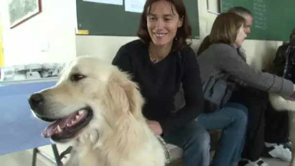 Un chien pour surmonter le handicap