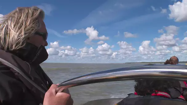 Mer nourricière : promenade en mer avec Cap baie de Somme (épisode 3/4)