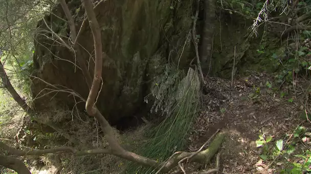 Tuerie des Plantiers : la cache et le stand de tir de Valentin Marcone