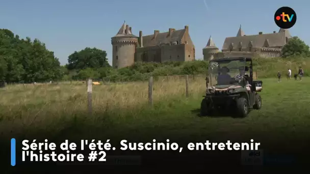 Série de l'été. Suscinio, entretenir l'histoire #2