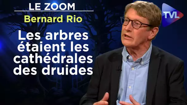 Les secrets de la forêt des Celtes - Le Zoom - Bernard Rio - TVL