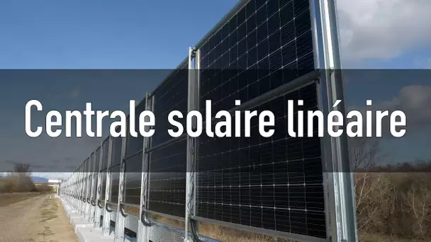 Solaire bifacial : « Les parcs photovoltaïques linéaires ont une emprise au sol très faible »