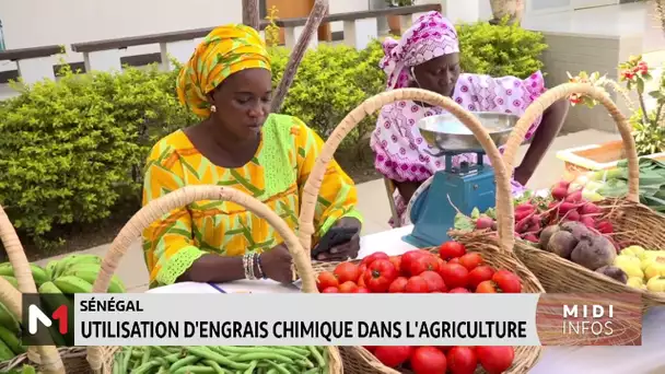 Sénégal : utilisation d'engrais chimique dans l'agriculture