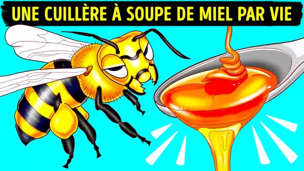 Comment Et Pourquoi Les Abeilles Font Du Miel