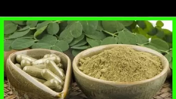 LE MORINGA: cette plante miraculeuse qui soignent plusieurs maladies. Cultivez la plante à la maiso