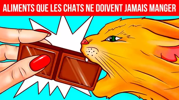 Pourquoi les animaux de compagnie ne peuvent pas manger de chocolat et autres secrets d'animaux