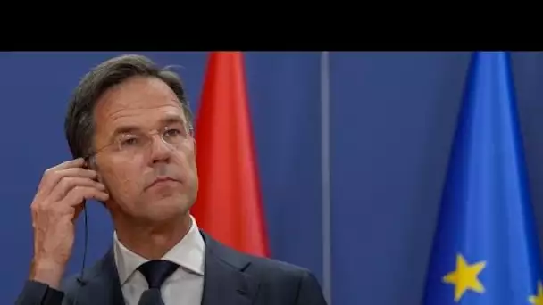Pays-Bas : des élections législatives anticipées au plus tôt mi-novembre