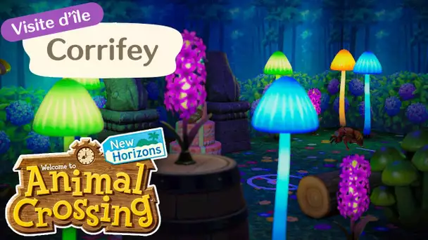 UNE ÎLE FÉERIQUE ÉPOUSTOUFLANTE ! - Visite de Corrifey - Animal Crossing : New Horizons