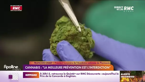 Légalisation du cannabis : "Il n'y a pas de meilleure prévention que l'interdiction"