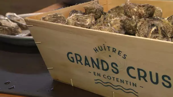 Huîtres de Normandie : 4 grands crus.